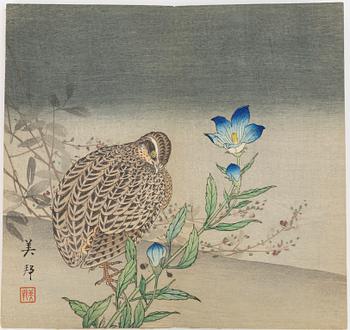 Bihō Takahashi (aktive around 1890-1930), album with 12 woodblock prints, publisher Heikichi Matsuki.