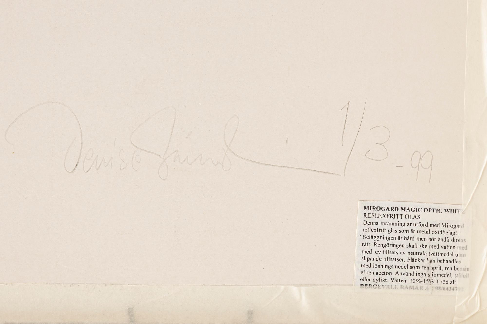 Denise Grünstein, "Blyertskameler", 1999.