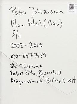 Peter Johansson, "Utan titel" (Bas), 2002-2010.