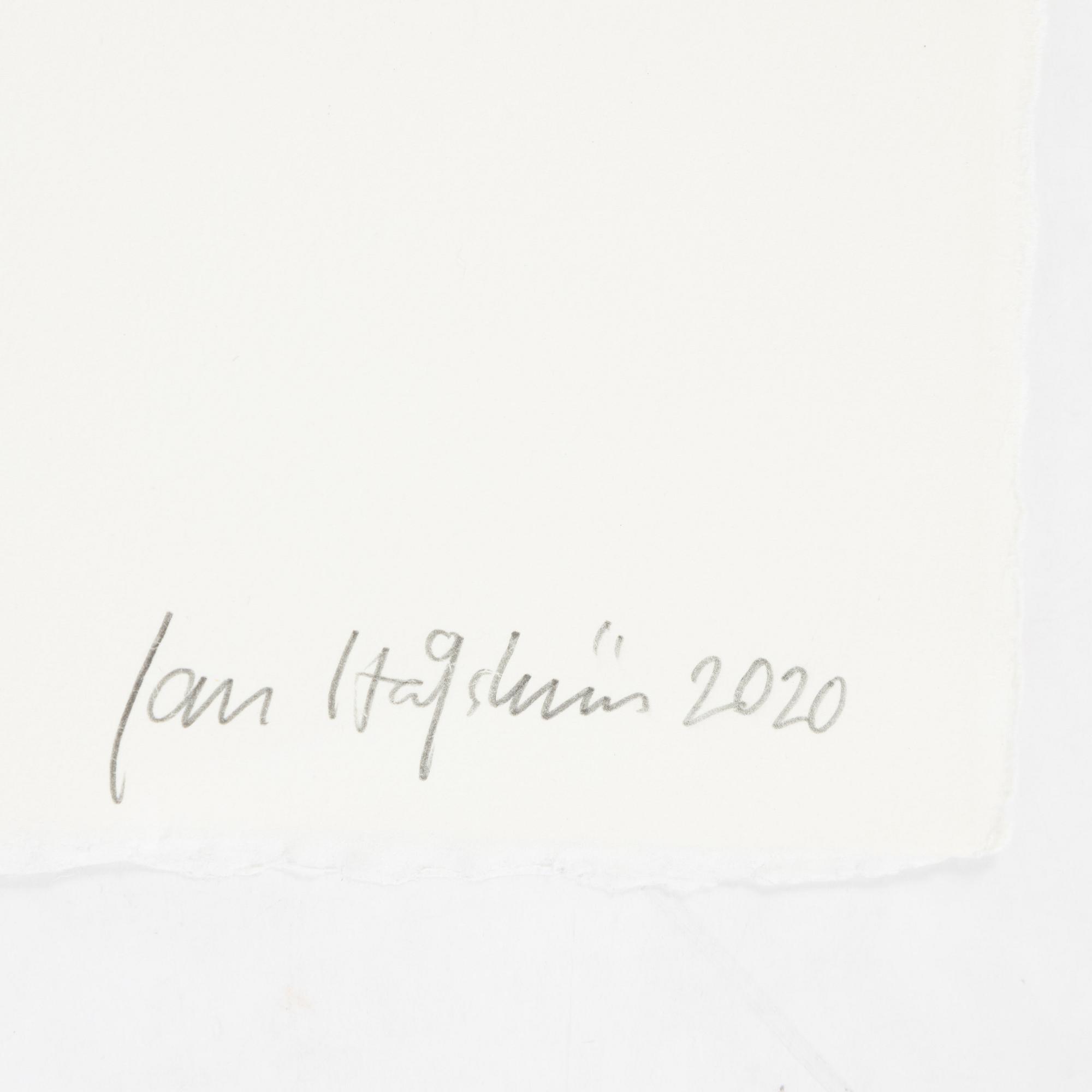 Jan Håfström, etching in colours, 2020, signed 45/50.