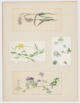 Birger Simonsson, portfolio with 62 drawings. watercolours, pencildrawings.