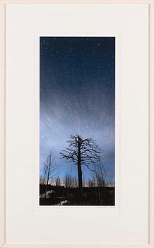 TANELI ESKOLA, "ÖINEN KELO".