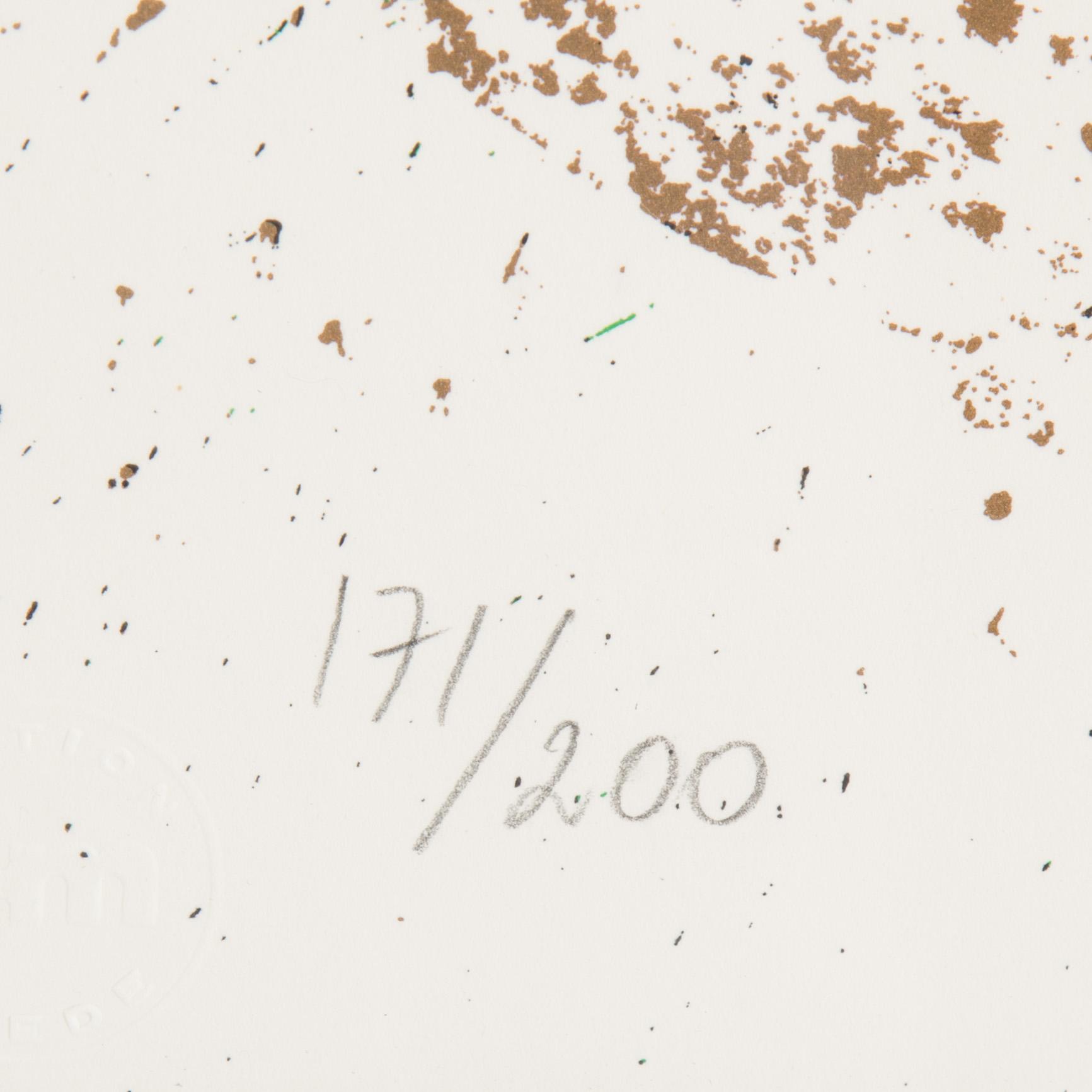 FERNANDEZ ARMAN, serigraph in colors, signed and numbered 171/200.