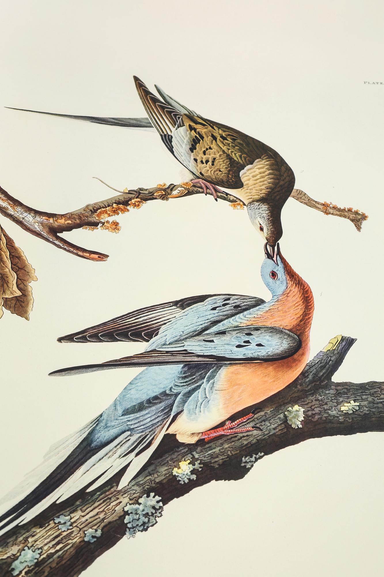 BOK, "The Birds of America", volym I, John James Audubon, numrerad 456/500, 1973.