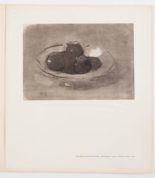 Helene Schjerfbeck Efter, "Helene Schjerfbeck".
