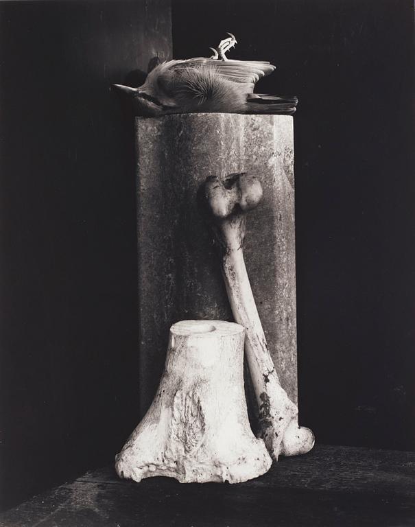 Hans Gedda, "Stilleben med död fågel, benknotor och stenfris", 1996.
