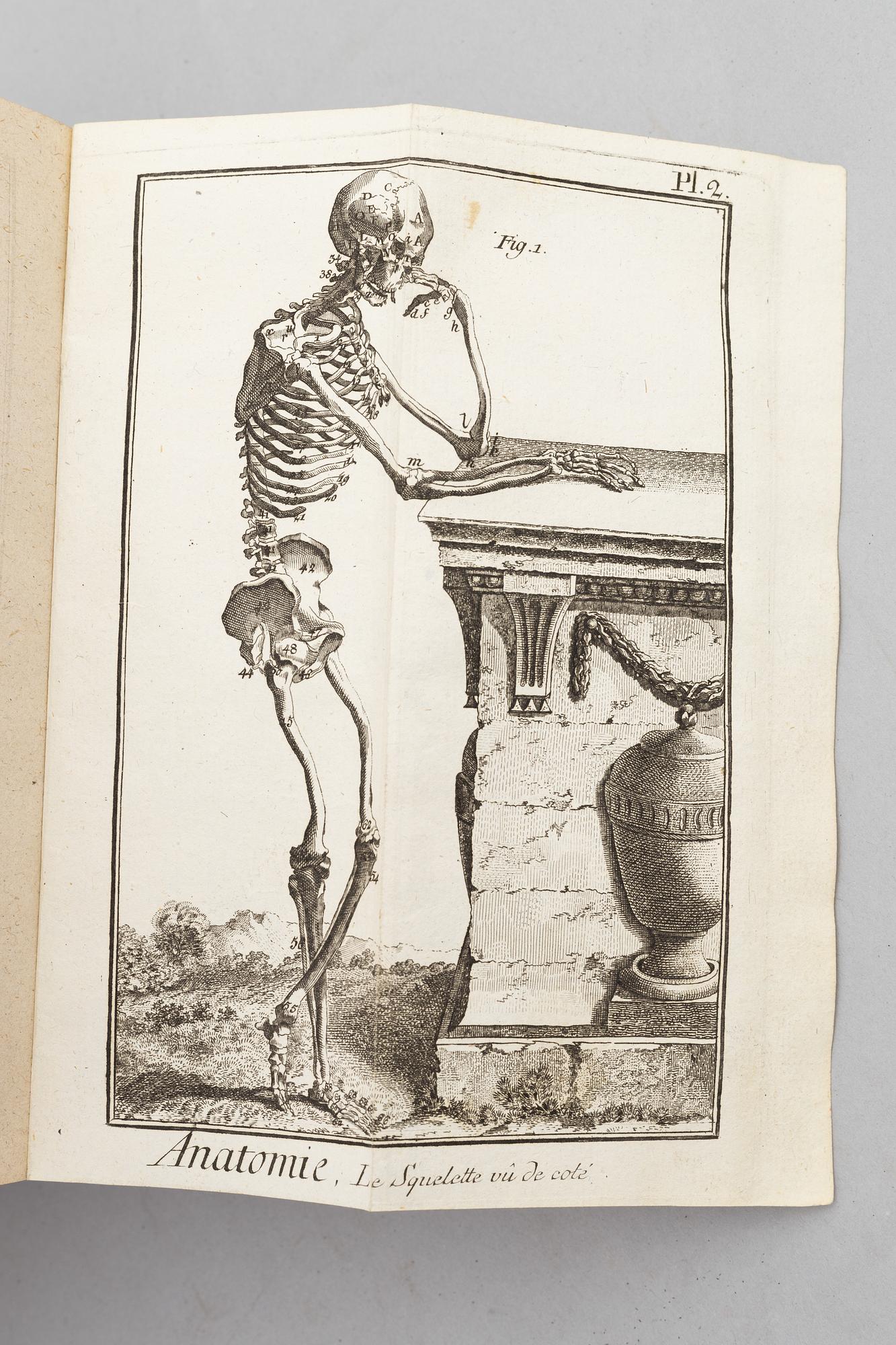 Franska Encyklopedin, 1778-81 (39 vol).
