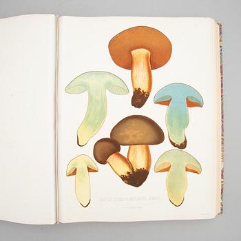 With 94 large chromolithographs of mushrooms.