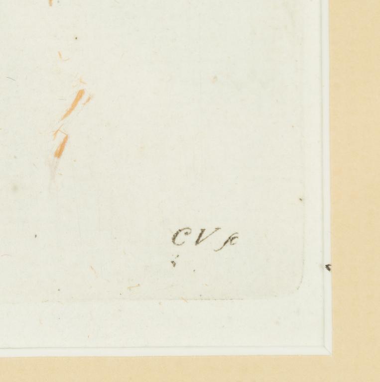 Twelve hand-coloured engravings, J.W. Palmstruch, from 'Svensk Botanik', 1802-1840.