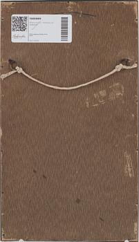 Ohara Koson, "Lapwing on tree stump".