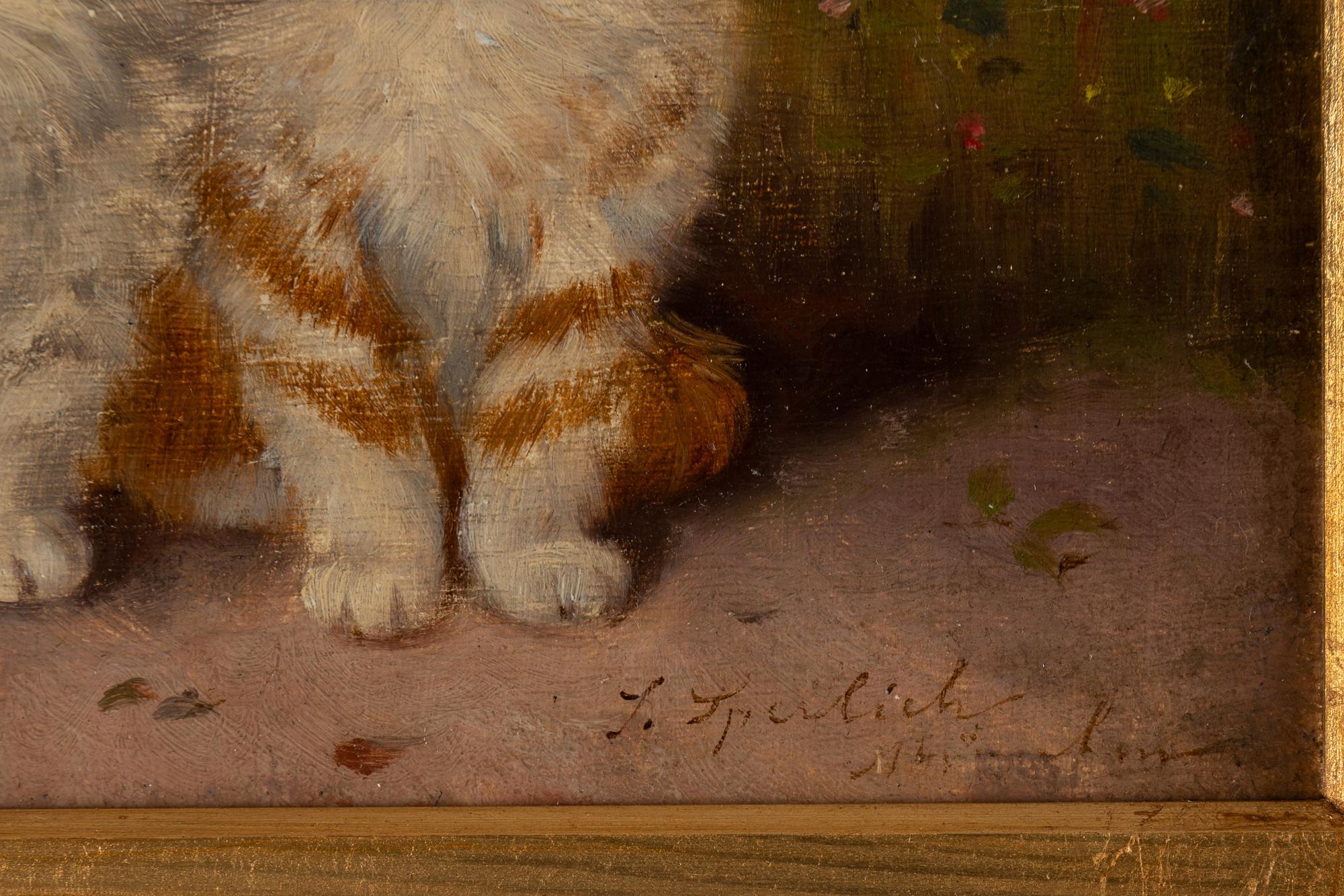 Josef Sperlich, Kittens in summer.