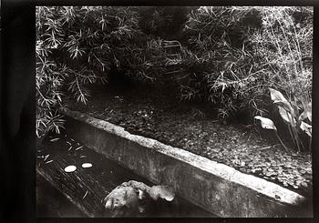 Josef Sudek · JOSEF SUDEK, silver gelatin fotografi, nummer 12/18 ur Mappen "Profily", från 1980.