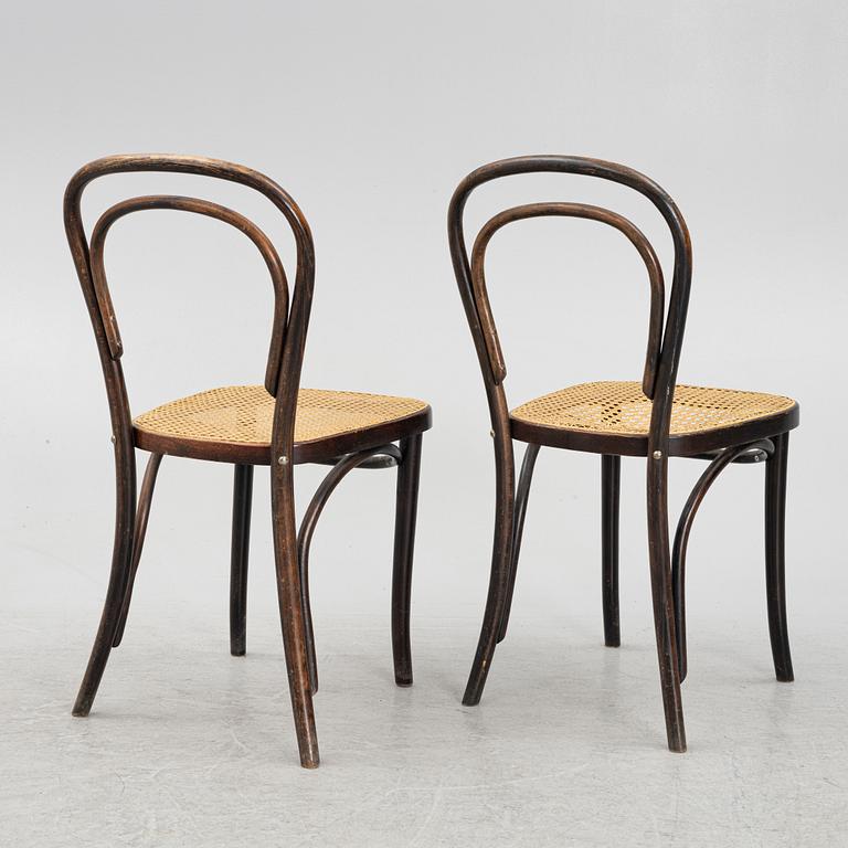 Stolar 8 st, Thonet-typ, 1900-talets första hälft.