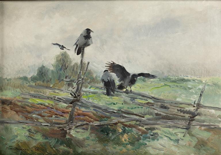 Mosse Stoopendaal, Crows.