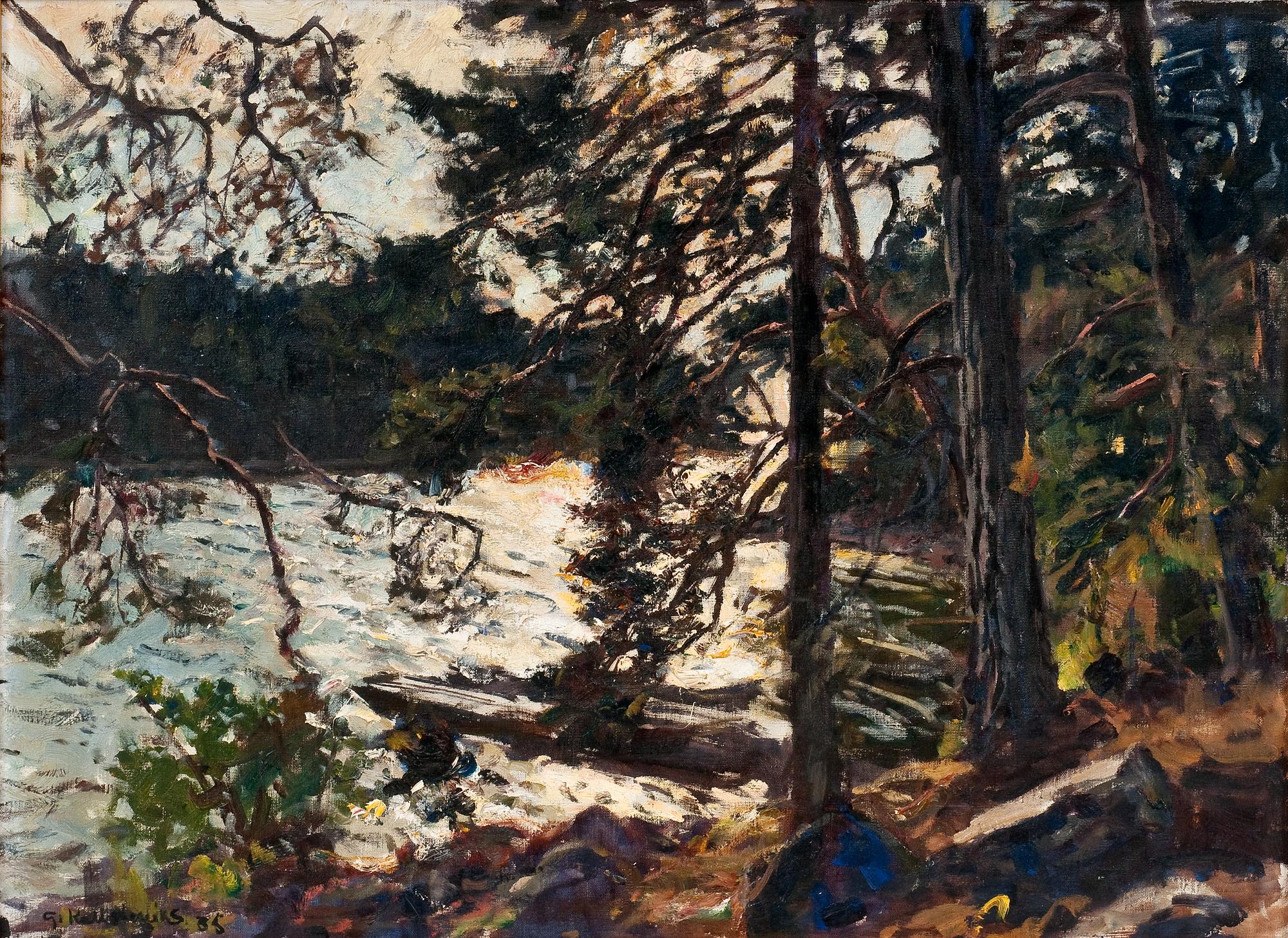 Gottfrid Kallstenius, A FOREST TORRENT.