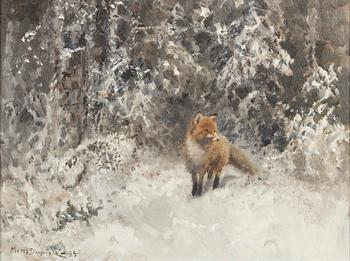 Mosse Stoopendaal, Fox in winter landscape.