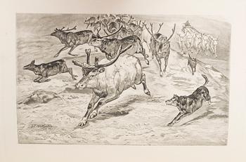 RESEBÖCKER, 6 st, bland annat "En sommar i Finnmarken, ryska Lappland och Nordkarelen" av J.A. Friis 1872.