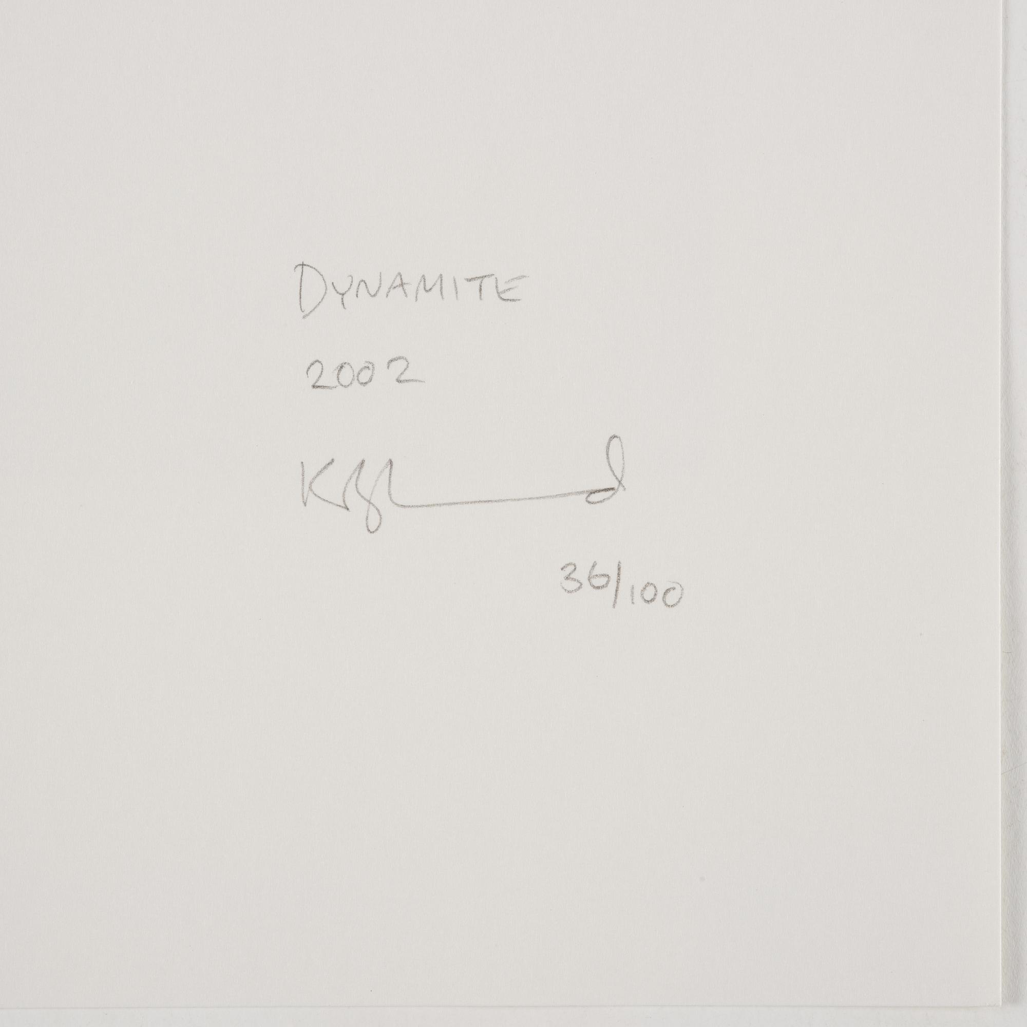 Zoe Leonard, "Dynamite", 2002.