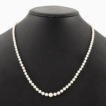 Necklace with graduated pearls, clasp silver with small sapphires.