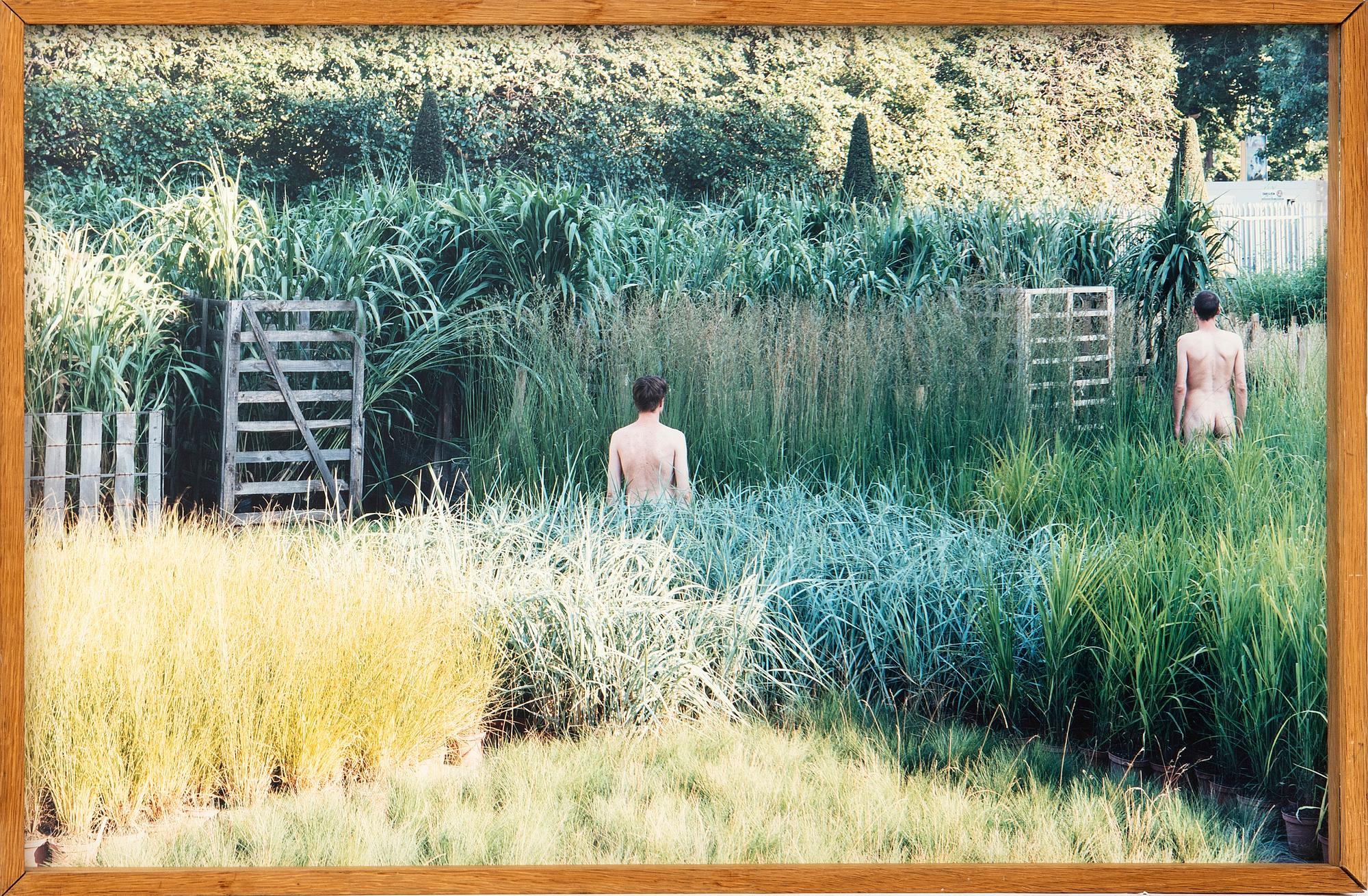 Susanna Hesselberg, Untitled.