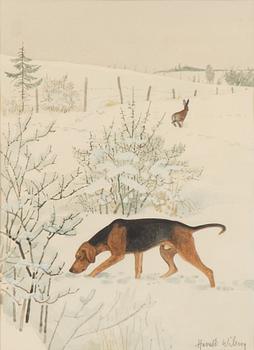 Harald Wiberg, Hamilton hound and hare.