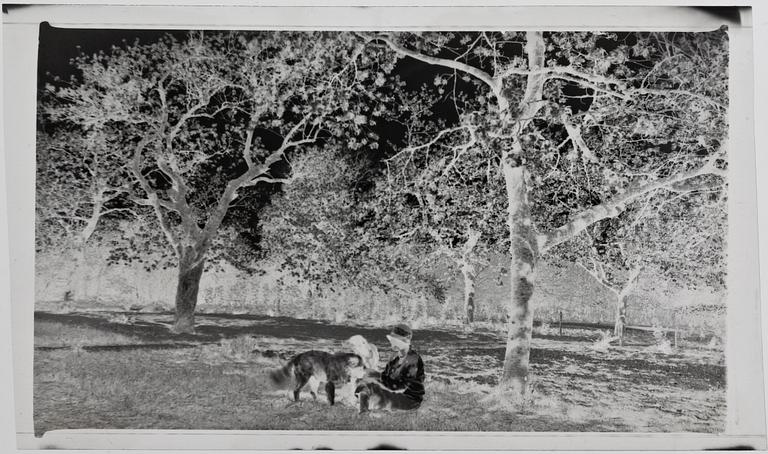 FOTONEGATIV, 8 st, Danmark, troligen 1920-30-tal.