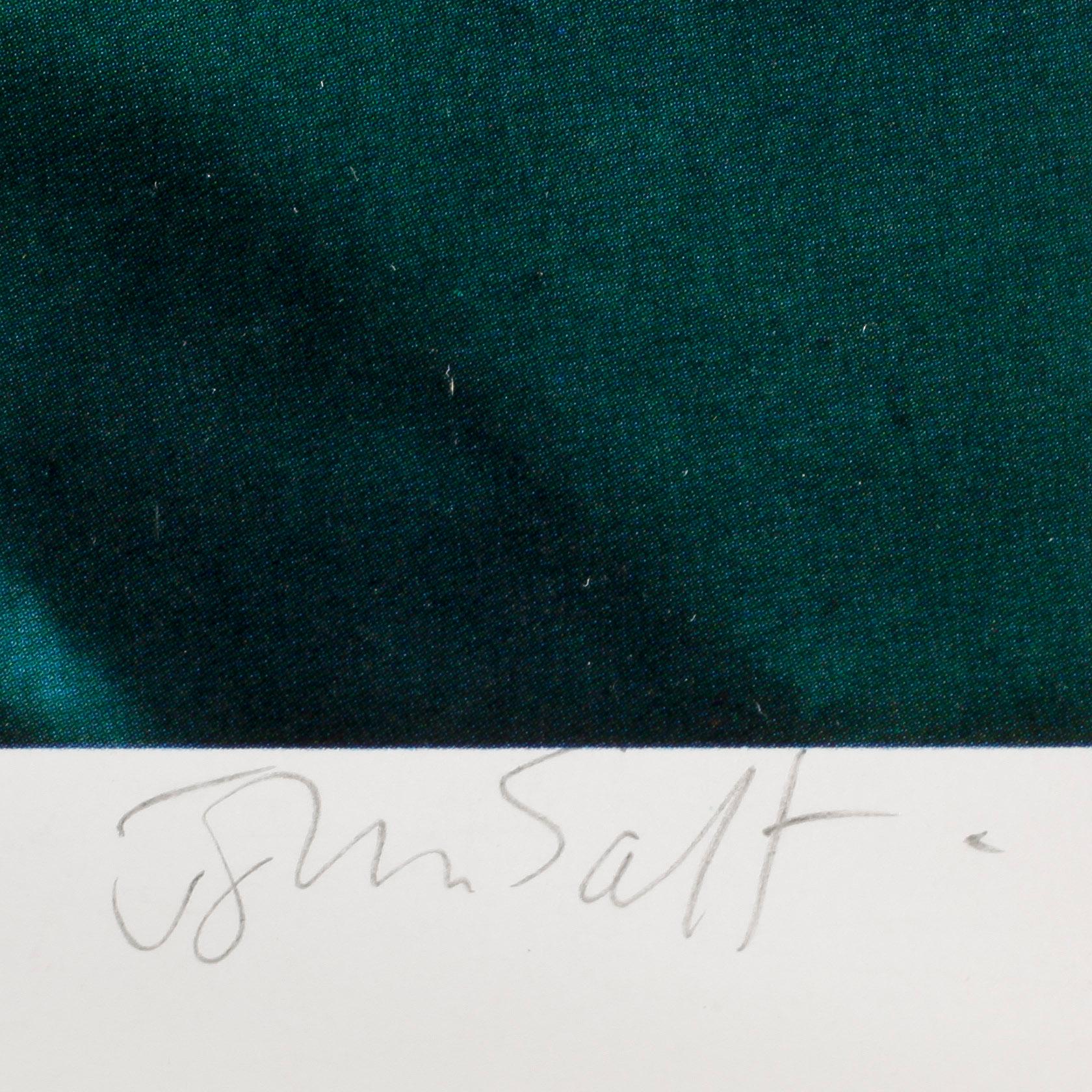 JOHN SALT, offsettryck, signerad.