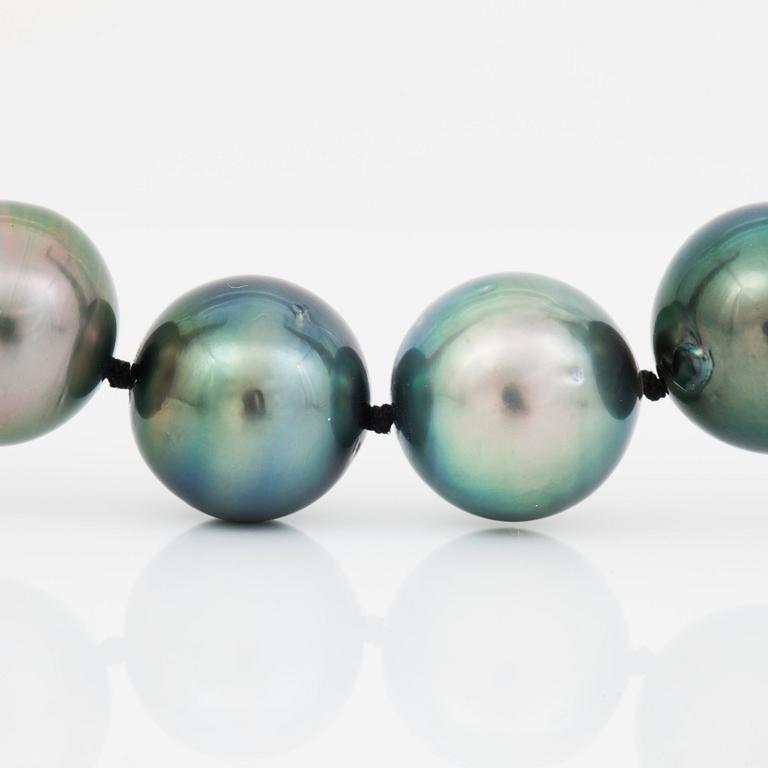A cultured Tahiti pearl necklace.