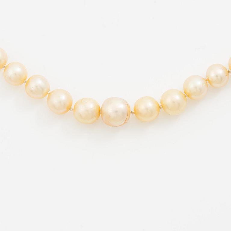 Collier pärlor lås platina med med gammalslipade diamanter.