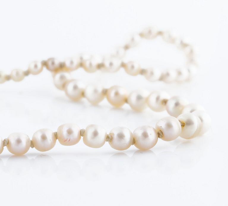 A possibly cultured pearl necklace by Gustav Dahlgren & Co, Malmö, 1951.