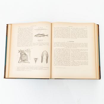 Wilhelm von Wright, 'Skandinaviens fiskar', three volumes, Stockholm, P. A. Norstedt & Söners Förlag, 1892-95.