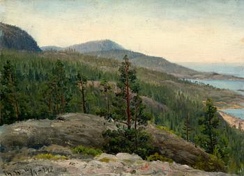 10. Thorsten Waenerberg, LANDSCAPE FROM SUURSAARI.