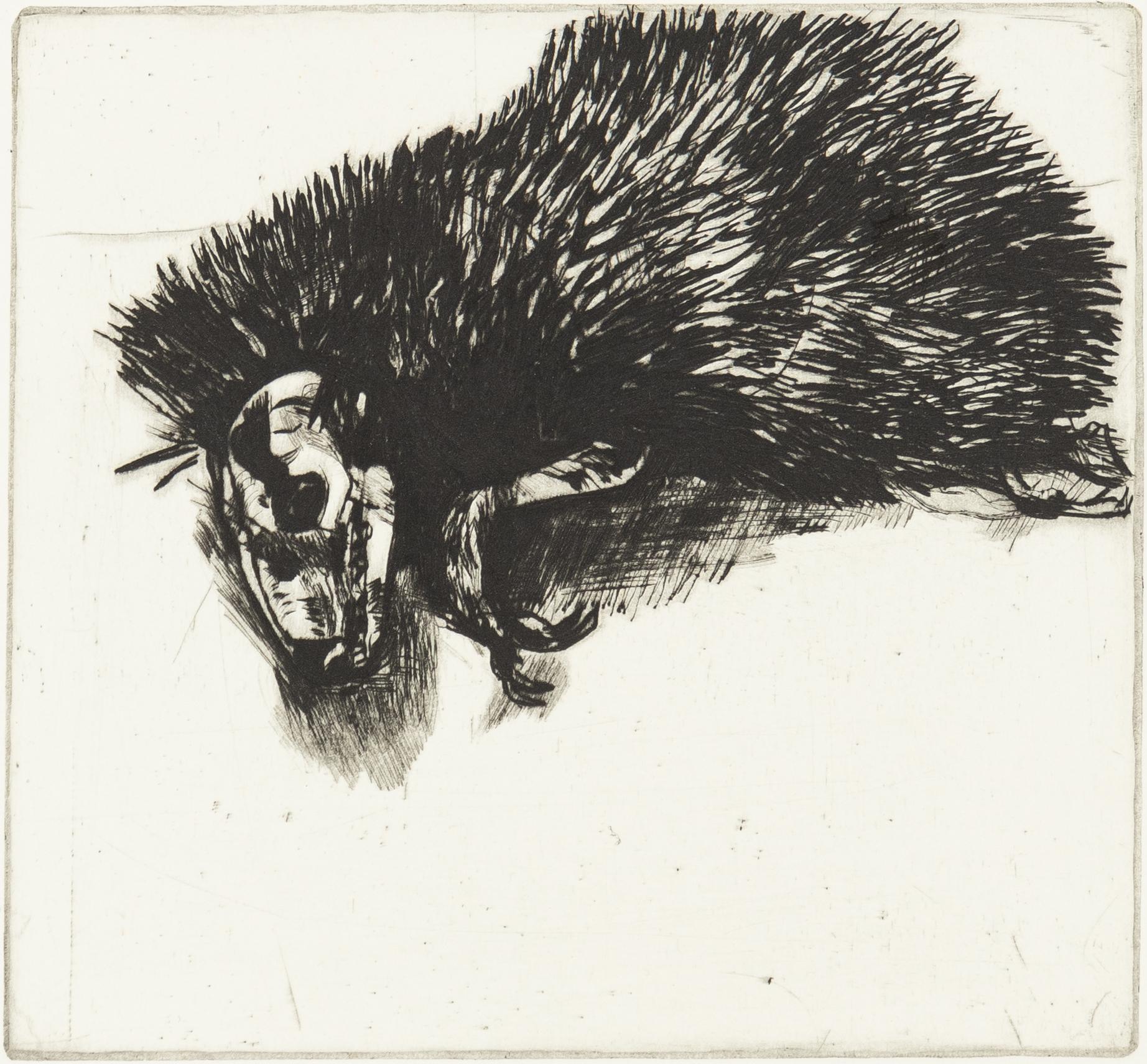 Lena Cronqvist, Hedgehog.