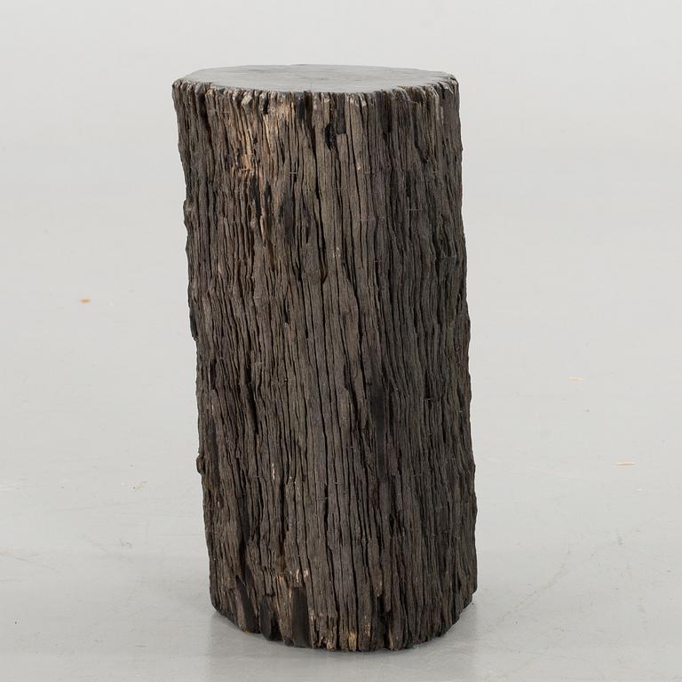 A FOSSILLISED WODDEN TREE.