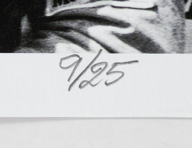 Kenneth Olausson, "Ronnie Petersons ärevarv i Dijon 1974".