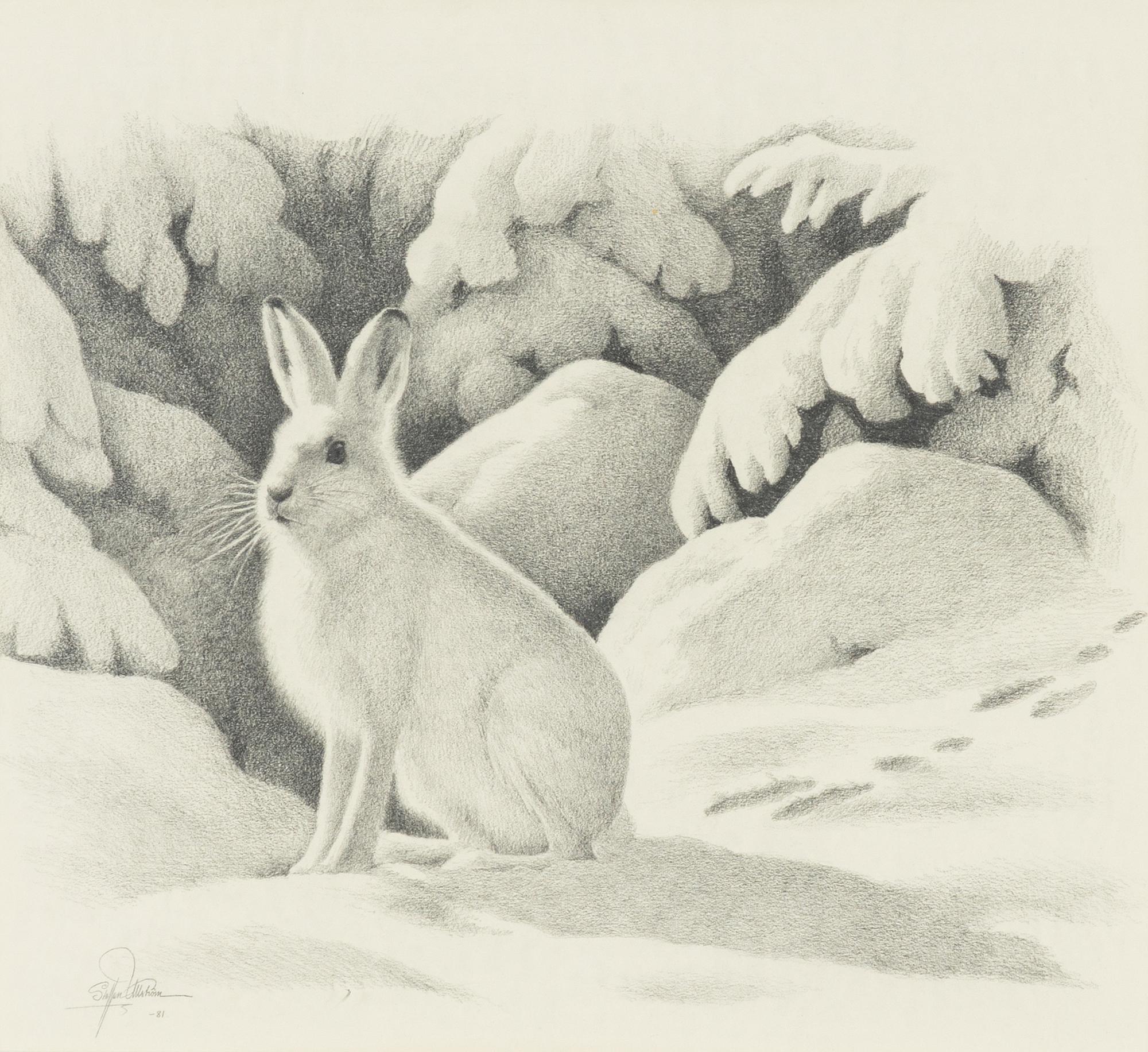 Staffan Ullström, Vinterhare.