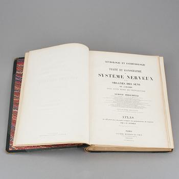 ATLAS, "Systeme Nerveux", Ludovic Hirschfeld, Victor Masson et Fils,  Paris, 1866.