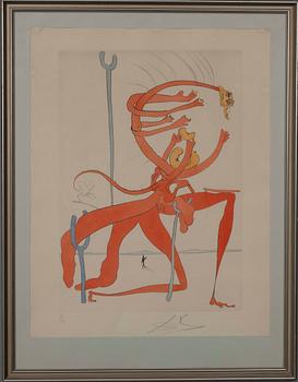 SALVADOR DALÍ, litografi, sign. och numr. 6/300.