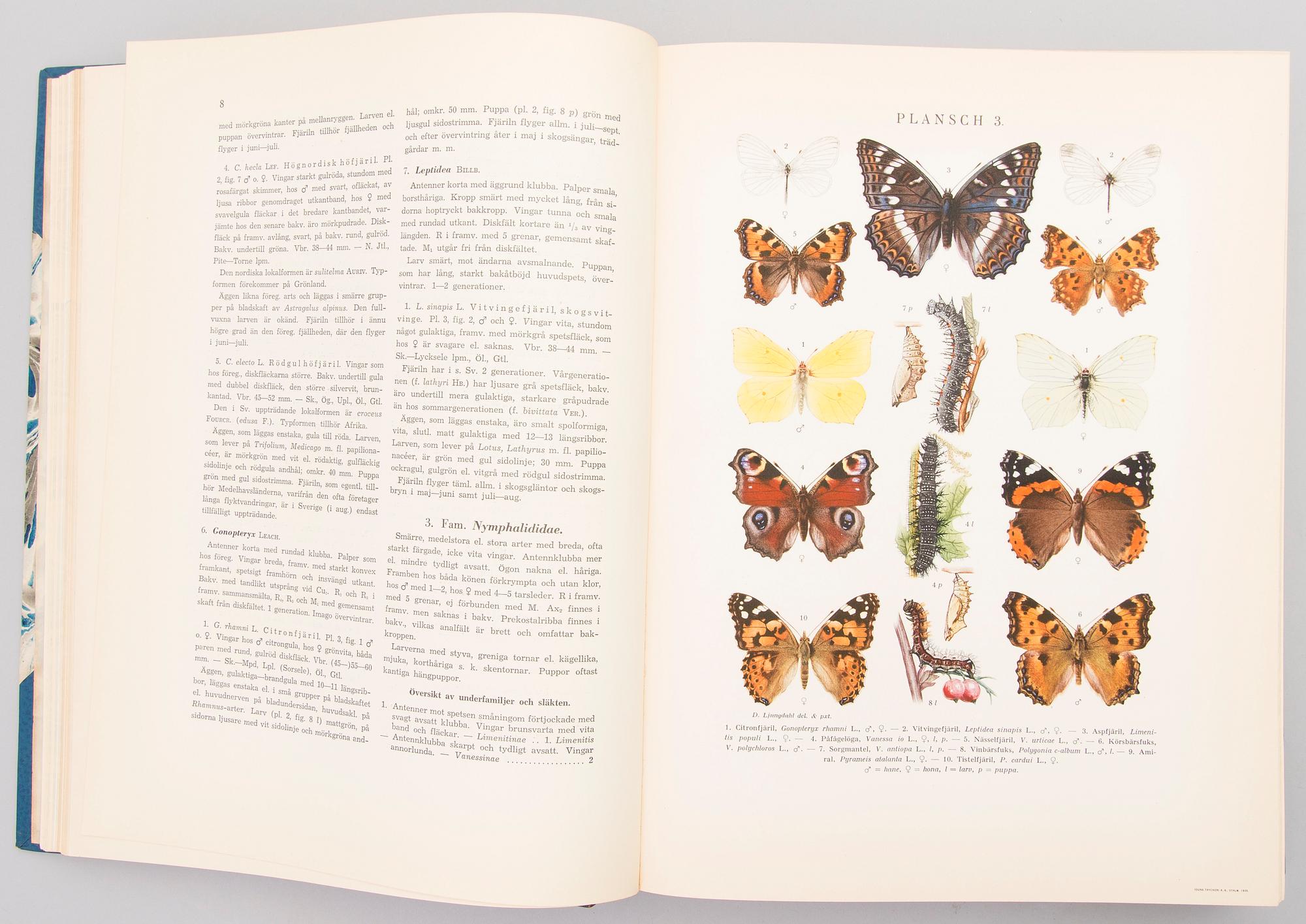 Four books about butterflies in Sweden, Finland and former Soviet Union. 1900-2003.