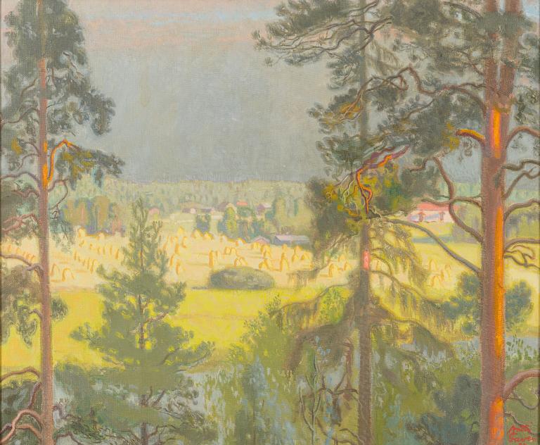 Antti Favén, Country scene.