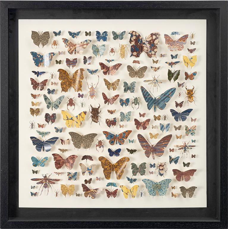 Helen Ward, "Paper Entomology".
