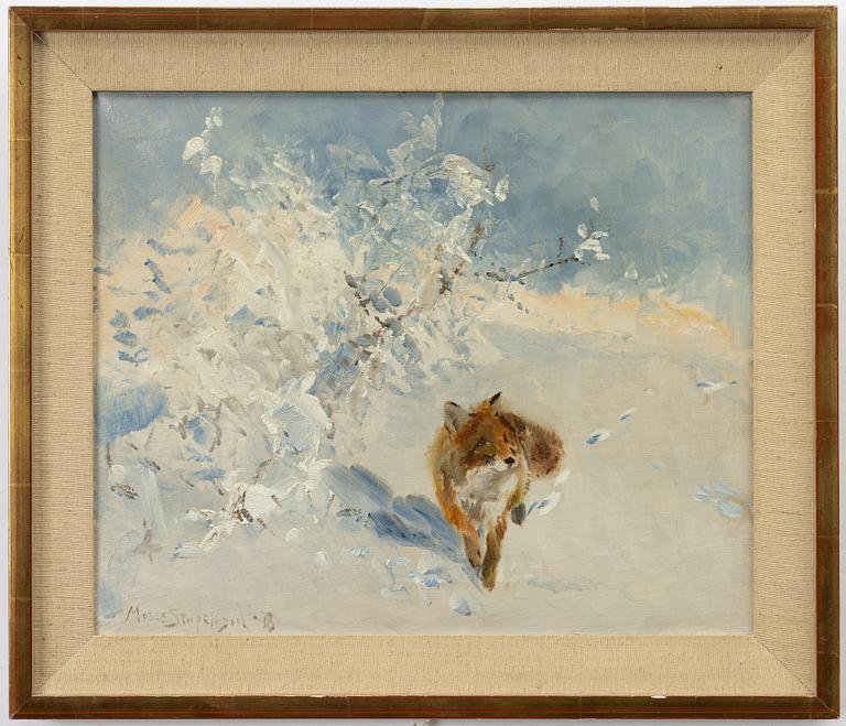 Mosse Stoopendaal, Fox in a winter landscape.