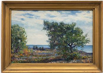 Knut Janson, Kustbild.