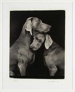 William Wegman, archival pigment print, 2009, signerat. Numrerat 119/1500 a tergo.