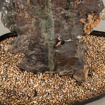 ANDERS BRUNO LILJEFORS, skulptur, sandgjuten keramik, 1960-tal.