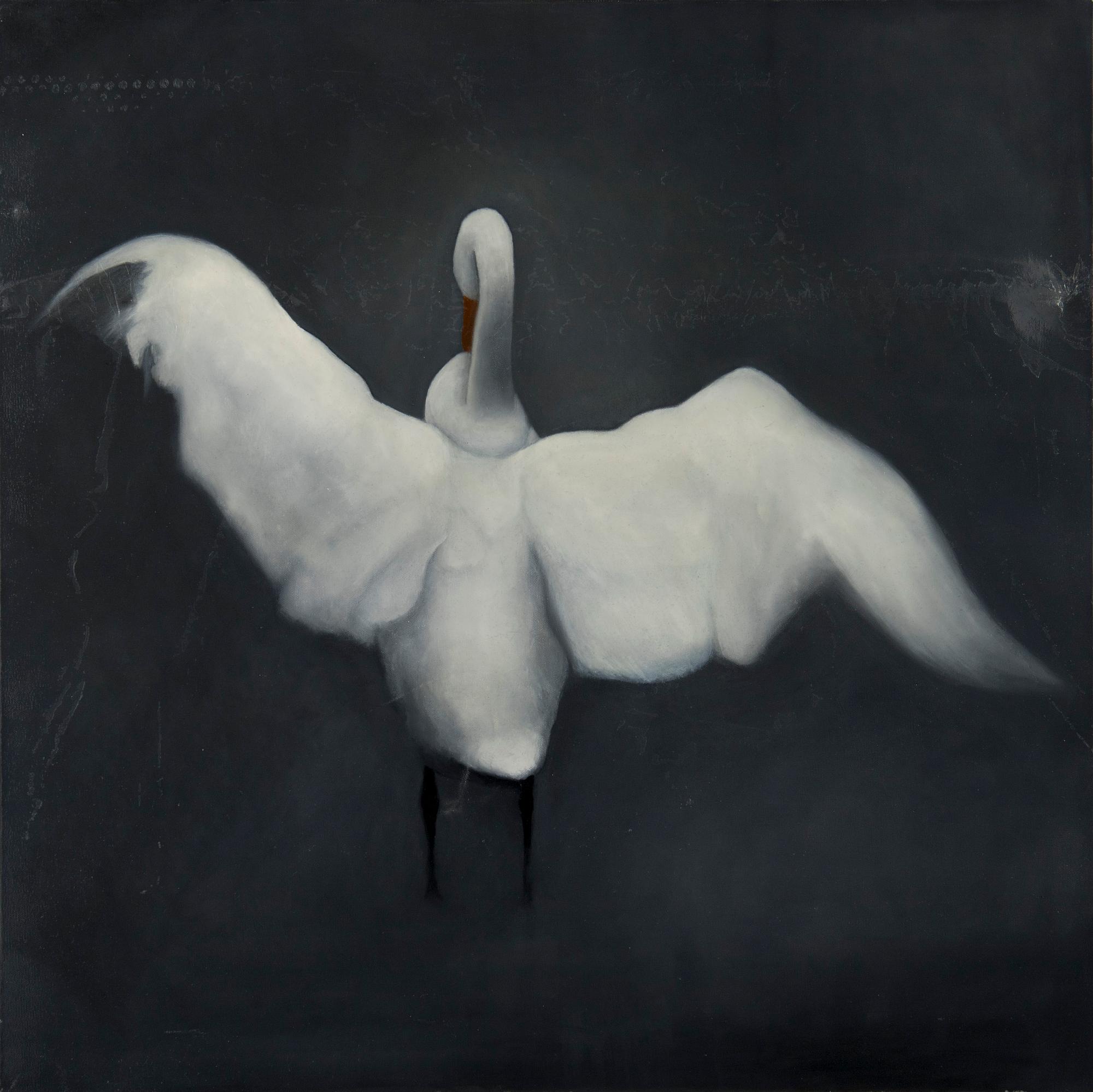 Eric Hynynen, Swan.