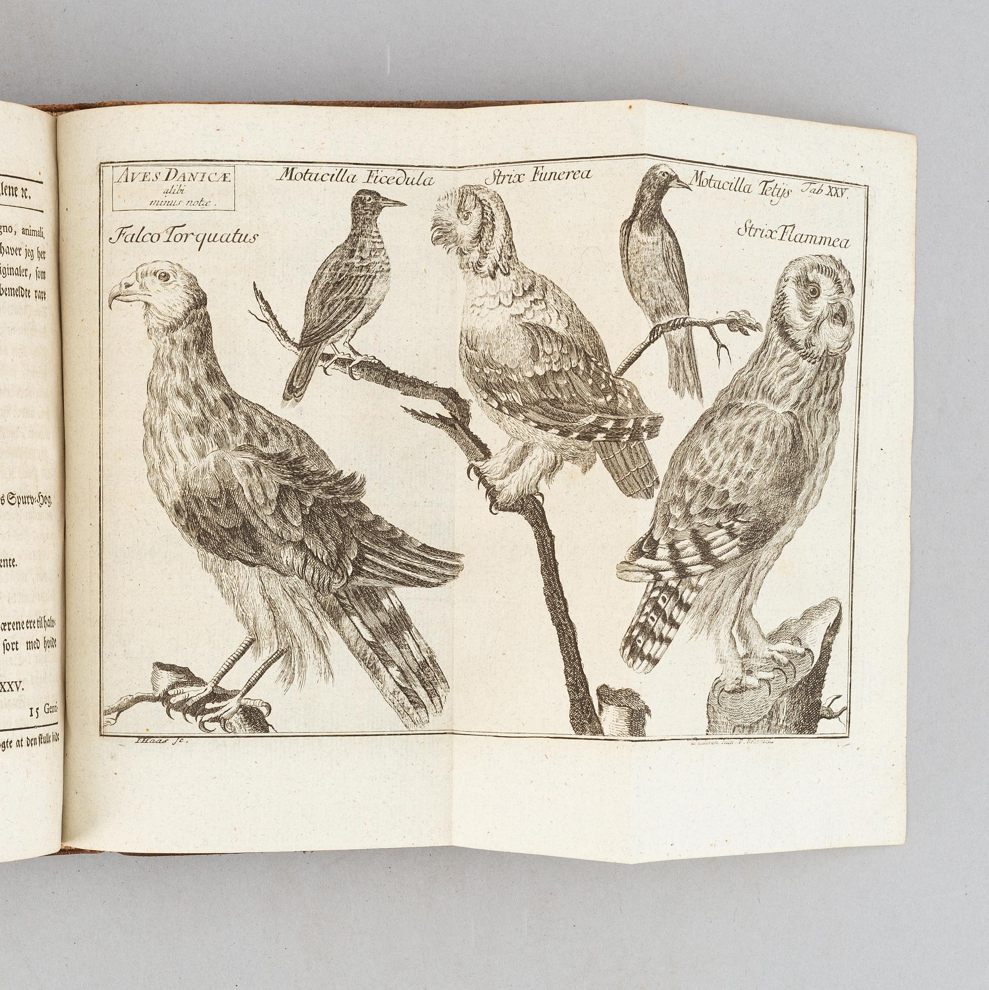 Danica, med graverade planscher (7 vol).