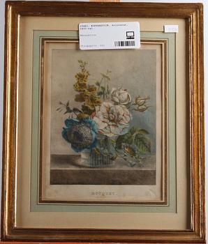 KOPPARSTICK, kolorerat, 1800-tal.