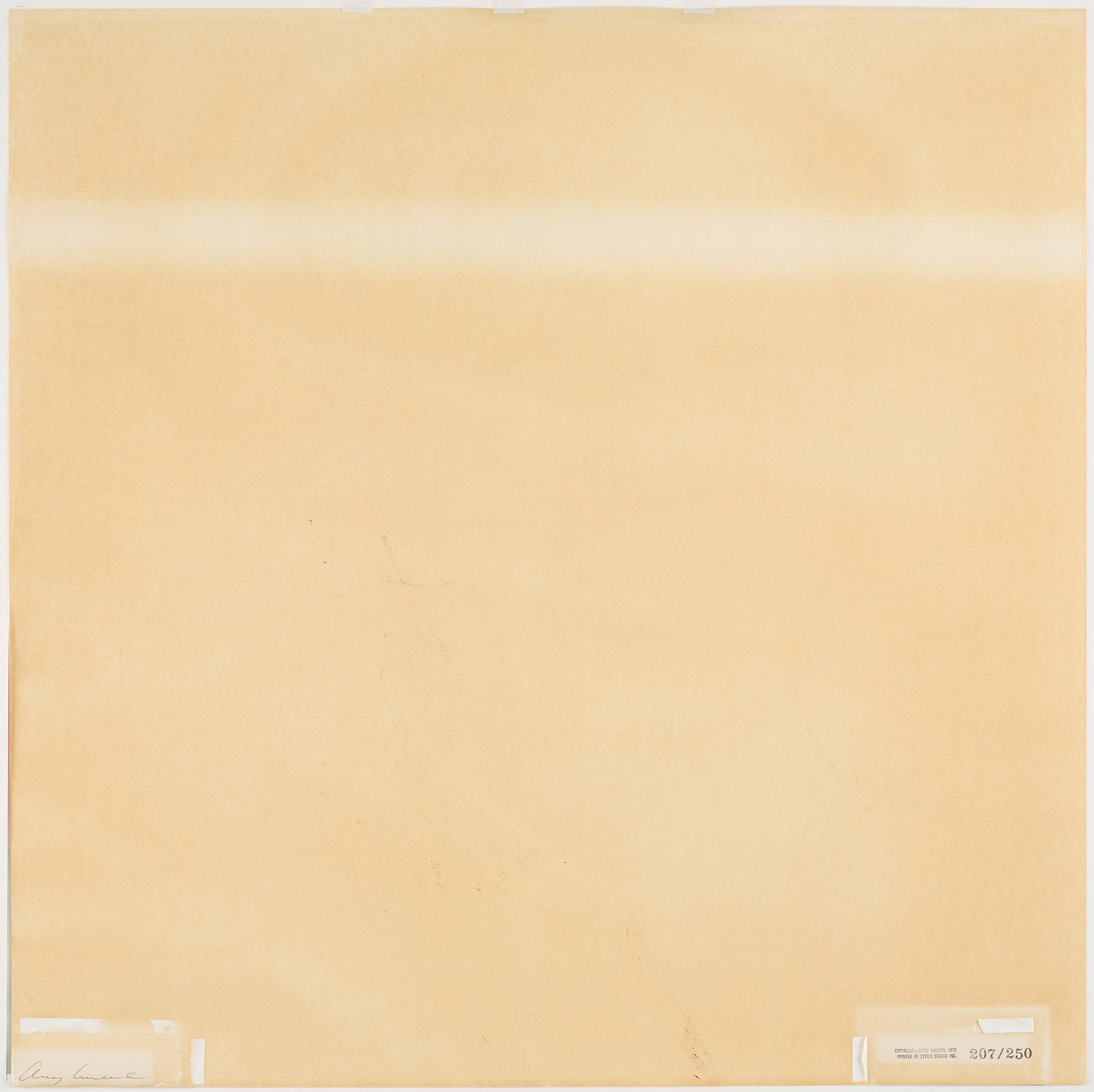 Andy Warhol, "Mao".