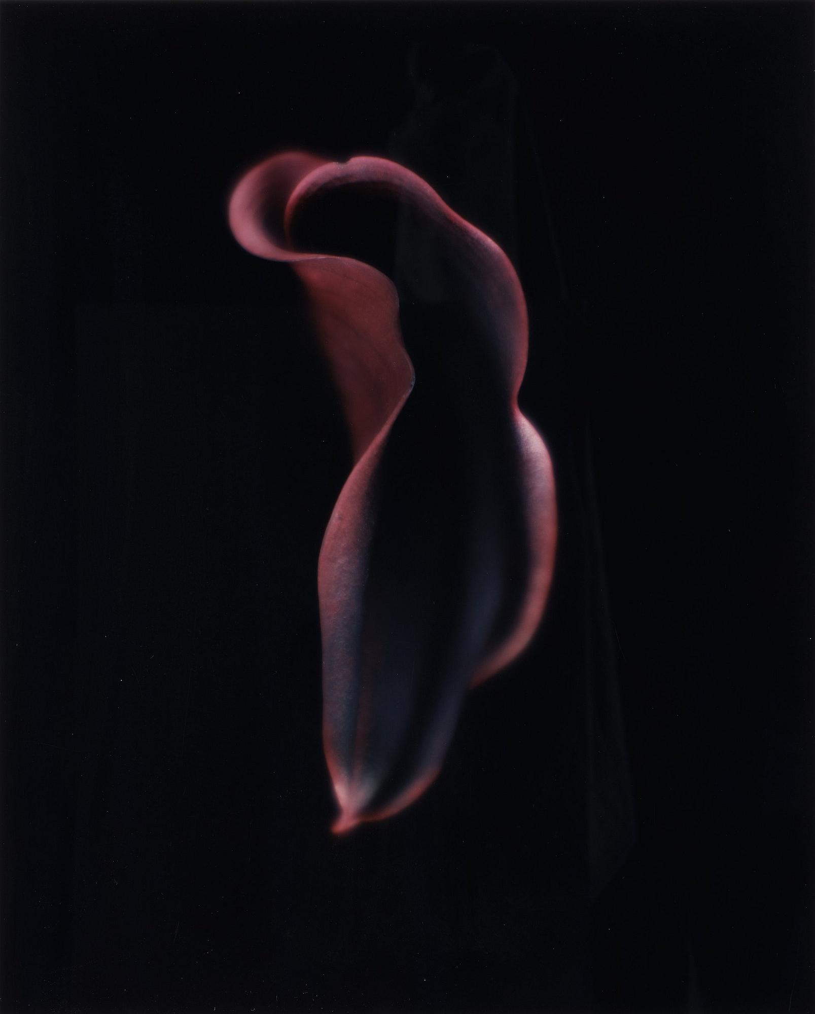 Dawid (Björn Dawidsson), "Martell", 1998.